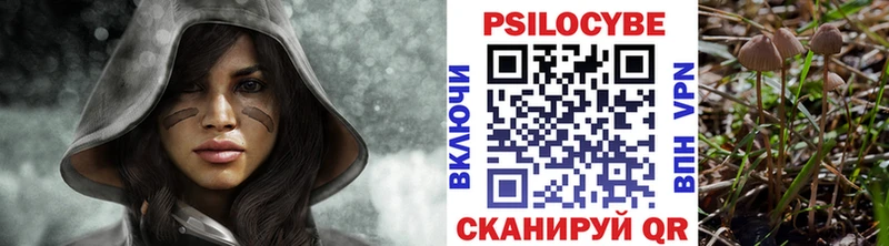Псилоцибиновые грибы GOLDEN TEACHER  где купить наркоту  Чебоксары 